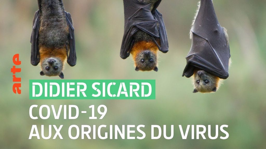 Didier Sicard : les origines animales du Covid-19 – 28 minutes – ARTE