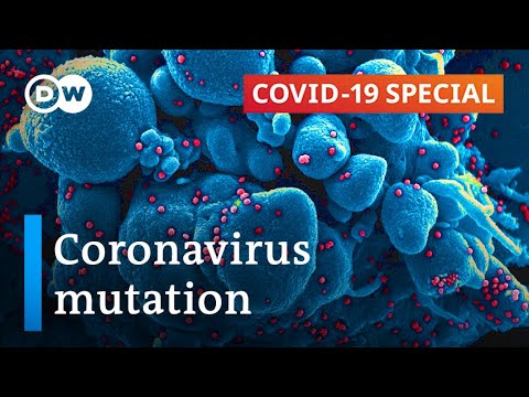 Coronavirus gene mutation: How scared should we be?
